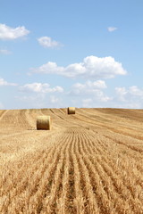 Fototapeta premium Round bale of straw on a stubble field and cloudy blue sky