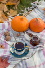 Autumnal picnic with tea at woolen blanket