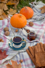 Autumnal picnic with tea at woolen blanket