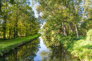 Fototapeta na wymiar Fresh green trees reflecting in a little river in the Netherlands