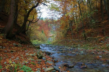 river in the fall