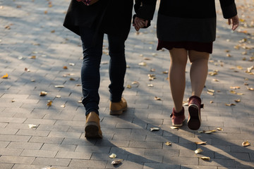 Fototapeta premium Loving young couple the man and the woman walk having taken by hand on the autumn street by the paved paving slabs. The fallen-down yellow leaves on the road