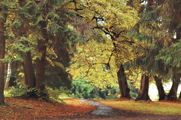 autumn in germany / city park in europe, germany autumn landscape
