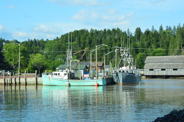 Boats in port