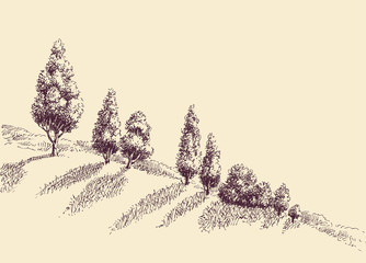 Trees growing on a hill slope sketch