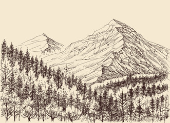 Mountains panorama, alpine forest drawing