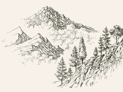 Alpine sketch, mountain ranges and coniferous vegetation