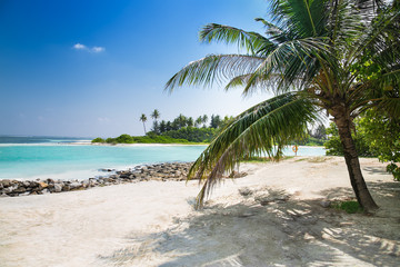 Palms on white sand at tropical Olhuveli island, Maldives.