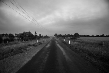 Black & White Silent Country Road