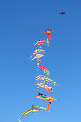 A long line of colourful kites flying under a deep blue sky, Spiaggia Su Giudeu, Sardinia, Italy
