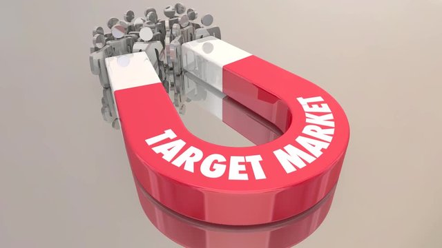 Target Market Customers Demographic Group Magnet People 3d Animation