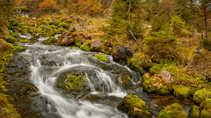 Tricklfall - Langzeit