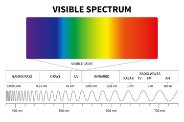 Visible light diagram. Color electromagnetic spectrum, light wave frequency. Educational school physics vector background. Illustration of spectrum diagram rainbow, infrared and electromagnetic - obrazy, fototapety, plakaty