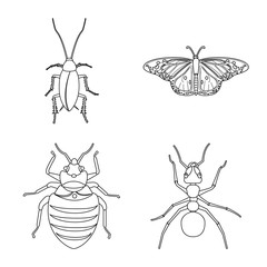 Vector illustration of insect and fly symbol. Set of insect and element vector icon for stock.