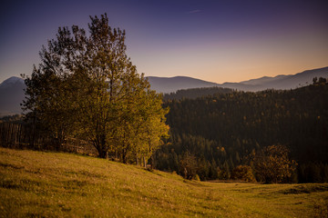 idyllic view of the Carpathian mountains