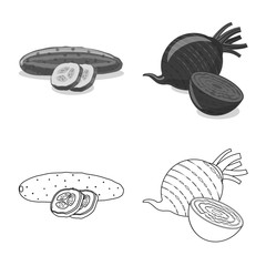 Vector illustration of vegetable and fruit icon. Set of vegetable and vegetarian stock vector illustration.