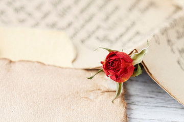 Red rose and love letter.
