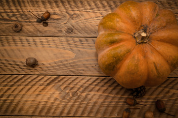Autumn composition with pumpkin. Halloween concept