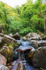 Tranquil Stream on Dartmoor