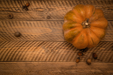 Autumn composition with pumpkin. Halloween concept