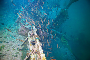 shipwreck, diving on a sunken ship, underwater landscape