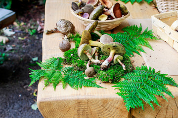 Mushroom picking on the table