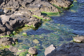 rocks in the sea