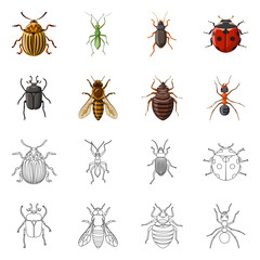 Vector illustration of insect and fly logo. Set of insect and element stock vector illustration.