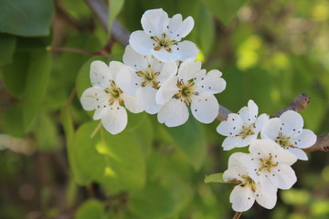 Nature is a magical thing/La natura è una cosa magica!!