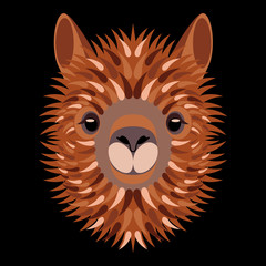 Alpaca face. Vector illustration. Geometric style. Isolated on black background. Animal from Peru