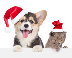 Funny kitten and corgi puppy in red christmas hats peeking over empty white board. isolated on white background. Empty space for text