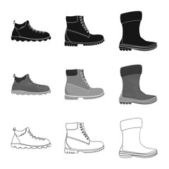 Vector design of shoe and footwear symbol. Set of shoe and foot vector icon for stock.