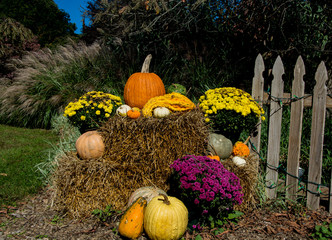 Fall Display/A festive fall display on a crips October morning full of colorful pumpkins, gourds...