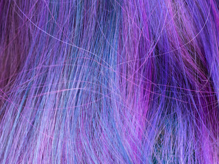blue and violed colored female hairs