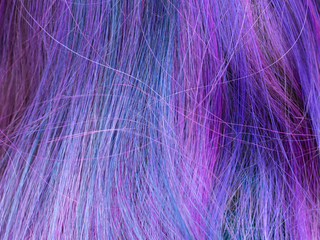 blue and violed colored female hairs