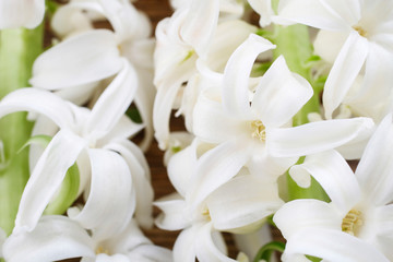 Obraz na płótnie Canvas White hyacinth flowers.