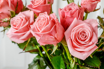 Bouquet of pink roses.