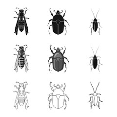 Vector illustration of insect and fly sign. Collection of insect and element stock symbol for web.