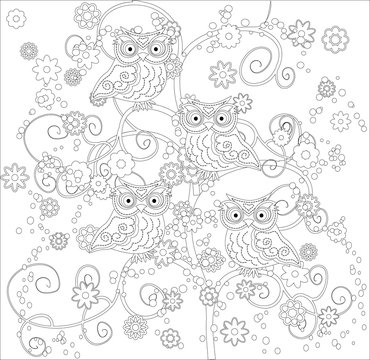 Coloring book for adult and older children. Coloring page with cute owl and floral frame. Outline drawing in zentangle style