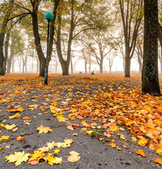 Autumnal morning in old public park in Jurmala - famous tourist resort of Latvia and in Baltic region, EC