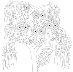 Coloring book for adult and older children. Coloring page with cute owl and floral frame. Outline drawing in zentangle style