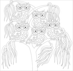 Coloring book for adult and older children. Coloring page with cute owl and floral frame. Outline drawing in zentangle style