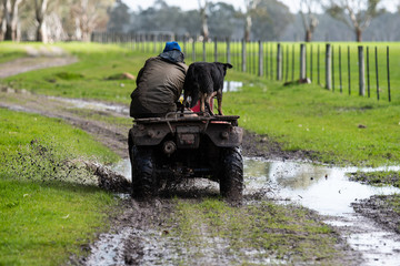 motorbike © William