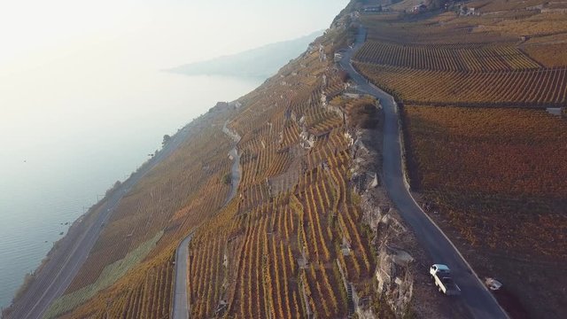 Au coeur des vignes en terrasse - Lavaux Suisse 