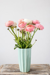 Pink ranunculus flowers.