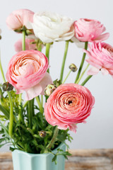Pink ranunculus flowers.