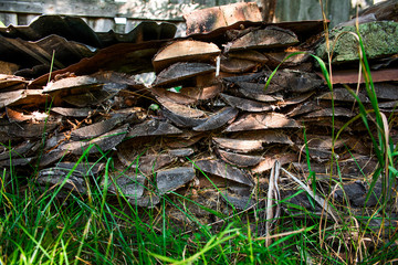 Old woodpile overgrown with grass