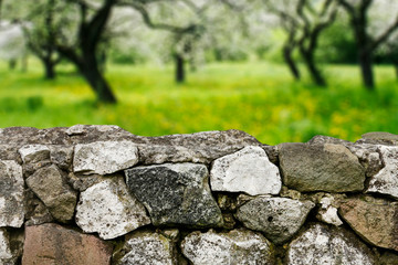 Stone wall in spring garden.