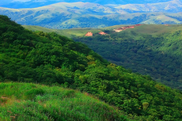 Obraz premium landscape hills with forest