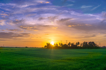 Obraz na płótnie Canvas sunset over green field
